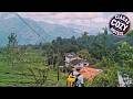 White Monkey Dias Rest | Bandarawela, Sri Lanka | Hotel Review 🏨