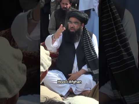 Prime Minister Of Afghanistan Islami Emirate مولوي عبد الکبير Status Shorts Taliban Viral 