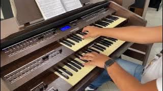 Tamye Orquestral Platinum