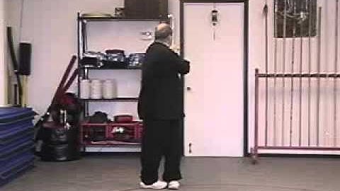 Pa Kua - Palm Changes - Cover Body Palm - Right Side