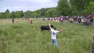 San Juan Navasfrias encierro Domingo 2017