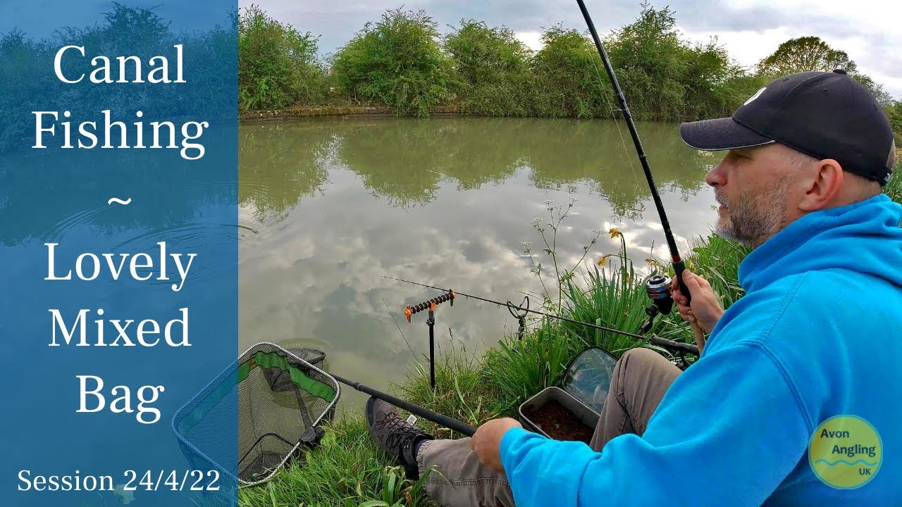 Canal Fishing - Lovely Mixed Bag On The Waggler - Grand Union