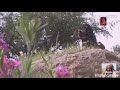 قصيدة ياناس ريمن خطف قلبي وهجي قصيدة ياناس ريمن خطف قلبي وهجي
