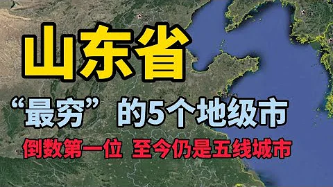 这里是山东 - 天天要闻