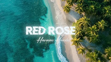Red Rose X Harman Hundal [ Slowed + Reverb ] #lofi #redrose #lofimusic #romatic #trending