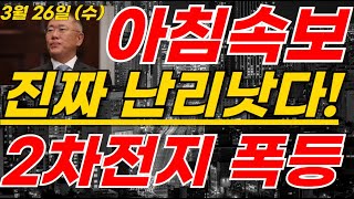에코프로,금양 2차전지 아침속보! 현대차-무상증자 1:6 박순혁 &quot;관세면제 확정&quot;  #2차전지#에코프로#에코프로머티#LG에너지솔루션#포스코홀딩스#엔켐 #LG엔솔