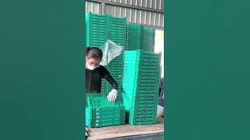 PLASTIC CRATES CLEANING