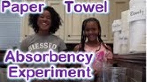 Which Paper Towel Brand Absorbs The Most Water