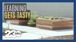 Bakersfield College opens Edible Education Garden