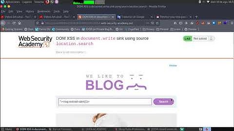 DOM XSS in document.write sink using source location.search