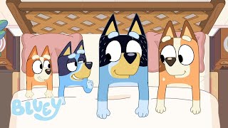 Ne Dis Pas Le Petit Coin Le Petit Coin Bluey Français Chaîne Officielle