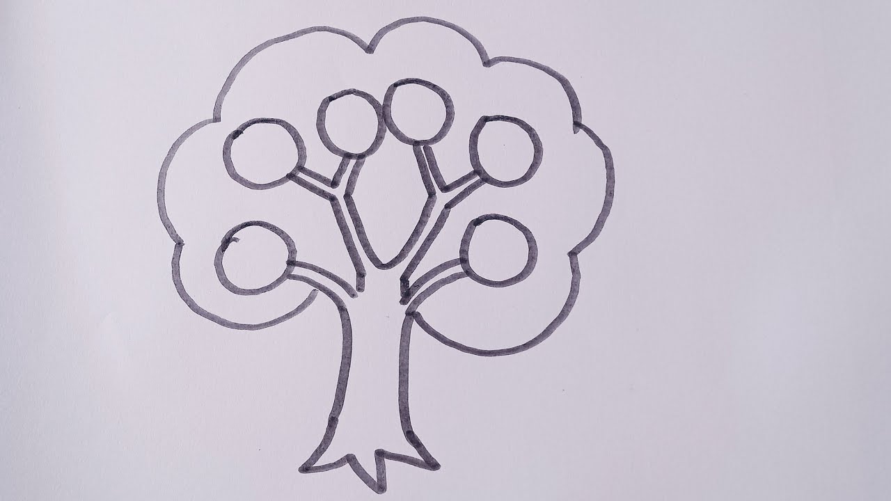 How to draw a family tree/easy drawing step by step/family tree for kids project YouTube