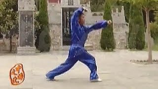 Shaolin Kung Fu Attack Strategy – Da Tong Bi Quan (Big Penetrating-Arms Form) | Yan Zhi Jun