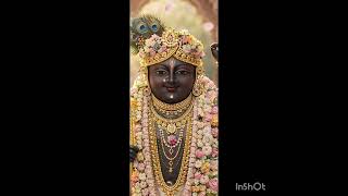 Rasikan Vrindavan Pehechaaniyo. Nikunj Ras Padh No 93