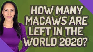 How many macaws are left in the world 2020?