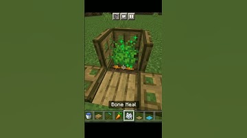 How to make Easy Rabbit Trap in Minecraft #shorts