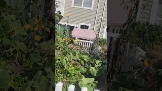 Videos2025 10 08 174740 210