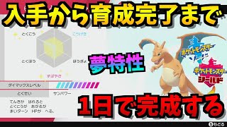 入手から 裏技でw大量 この動画を見れば育成済み夢リザードンができます ポケモン剣盾 ポケモンソードシールド Youtube 入手から 裏技でw大量 この動画を見れば育成済み夢リザードンができます ポケモン剣盾 ポケモンソードシールド Youtube