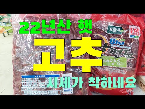 햇 고추시세 알아보기 마트에서 고추 (상설매장)