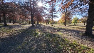 Canberra has a secret Arboretum...