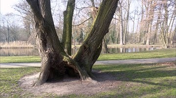 Nederland in natuur #1