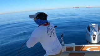DENTON XXL +8KG DEEP SPINNING