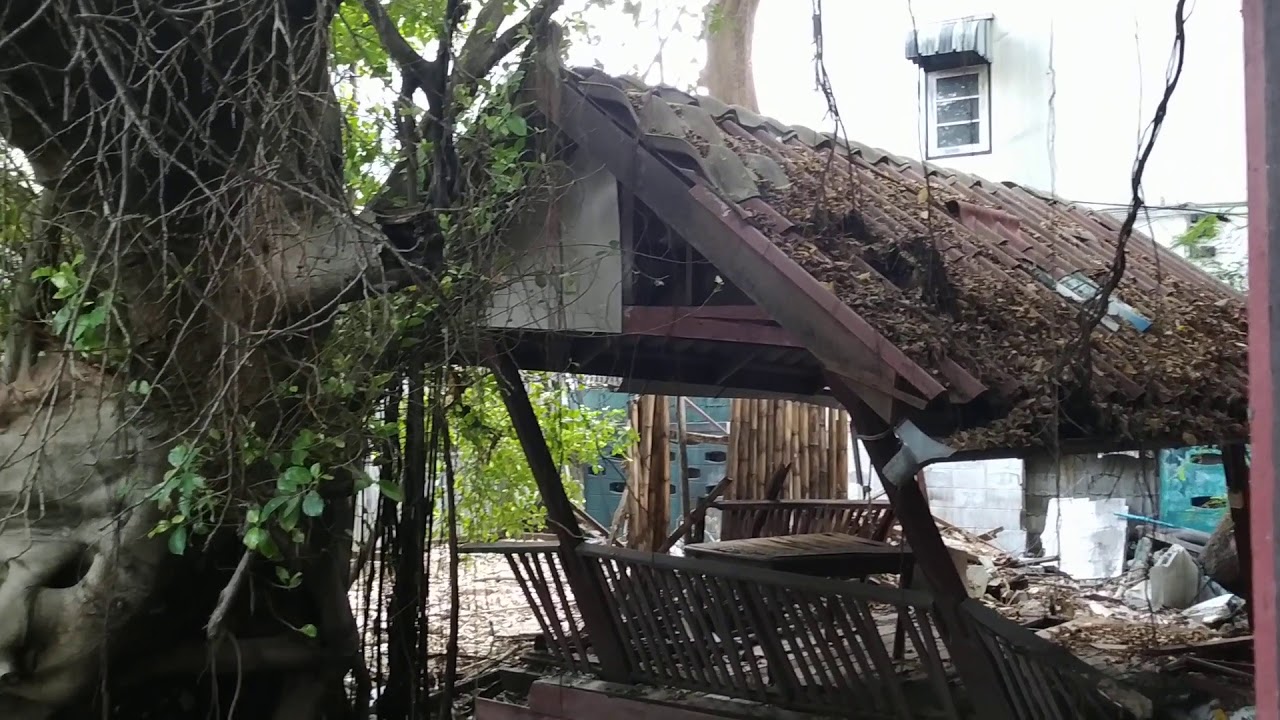 Turtle house di Tiziano Terzani distrutta