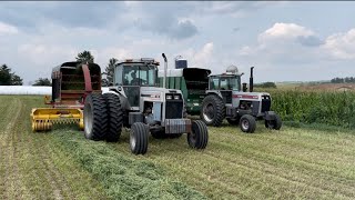 Making beautiful hay silage for the cows! (More problems)