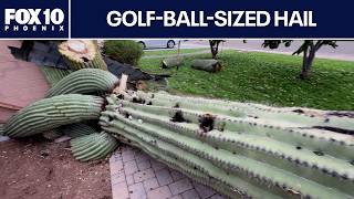 Phoenix hail storm leaves homeowners facing  repair costs | FOX 10 Phoenix