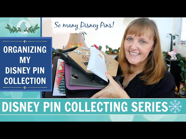 Replying to @Mrs.Rosy07 Here is the pin trading book I use! #pintradi