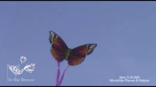 Planes & Nature MicroKite 24 PC Assortment - In the Breeze