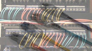 Lanec Solutions Self Tracing Leads