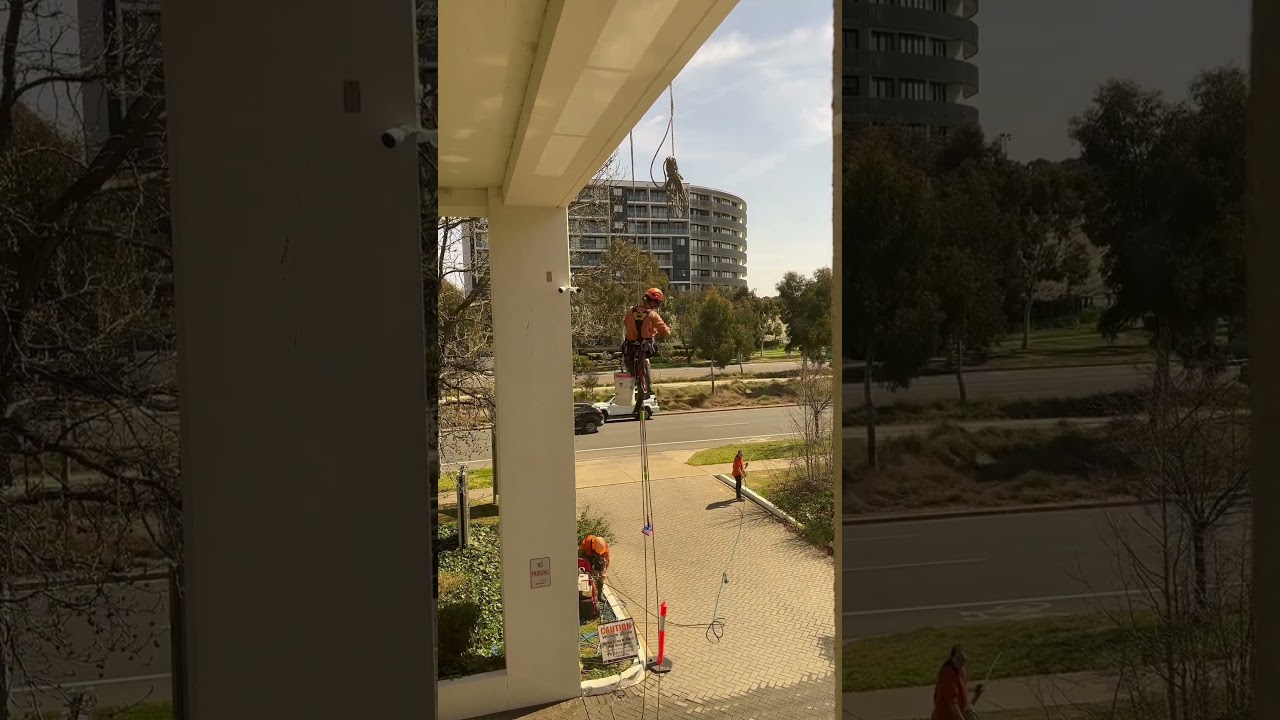 Getting paid to ABSAIL down a building