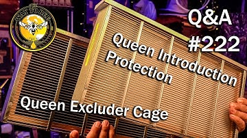 Backyard Beekeeping Questions and Answers Episode 222, Queen Excluder? or Queen Introduction cages.