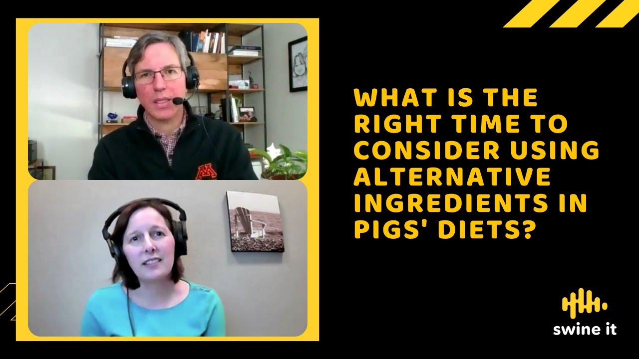 What is the right time to consider using alternative ingredients in