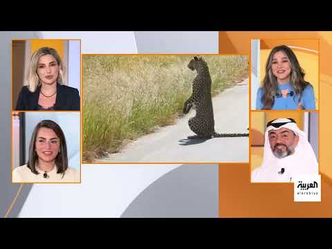 جدل حول آراء روبوت دردشة وتصحر العراق وقصة مريض يعزف أثناء الجراحة