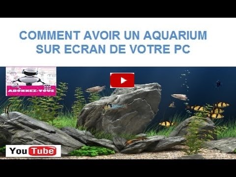 Comment Avoir Un Aquarium Sur Ecran De Veille De Votre Pc Téléchargement Et Installation Tuto Fr