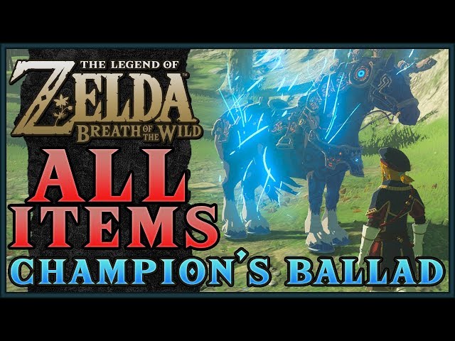 Zelda Breath of the Wild] All NEW DLC Item Locations! 