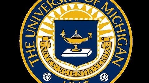 What is the University of Michigan Consumer Sentiment Index?