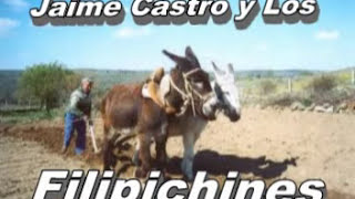 El de la Vaca| original |  Jaime Castro y Los Filipichines| Foto video| Carranga