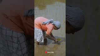 Ayyathurai Nee Pallandu Whatsapp Status