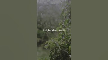 #تلاوة_خاشعة #تلاوات #القرآن_الكريم #هيثم_الدخين
