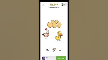 Brain Out Level 215 Find the chick Answers