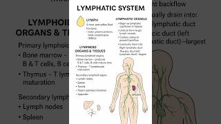Lymphatic System in 5 Minutes | Simple Diagram + Functions | Nursing | Pharmacy ll