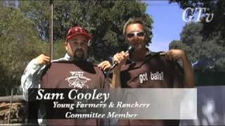 Gtv - Testicle Festival