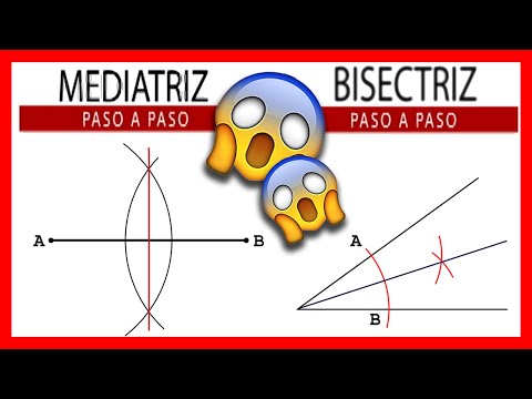 💪 MEDIATRIZ y BISECTRIZ 📐 La mediatriz de un segmento y la bisectriz de un ángulo para niños