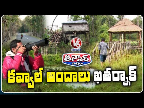 Natural Beauty of Kawal Tiger Reserve Draws Tourists | V6 Teenmaar - V6NEWSTELUGU