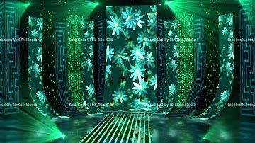 Visual Led Tết - Video Background Tết