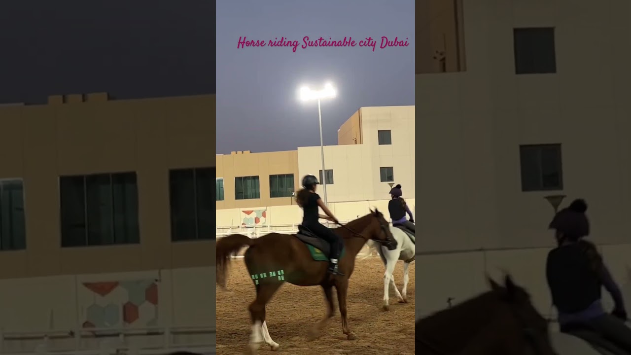 #horseriding#horses#hobbies#dubailfe#uae#sustainablecity#viralshort