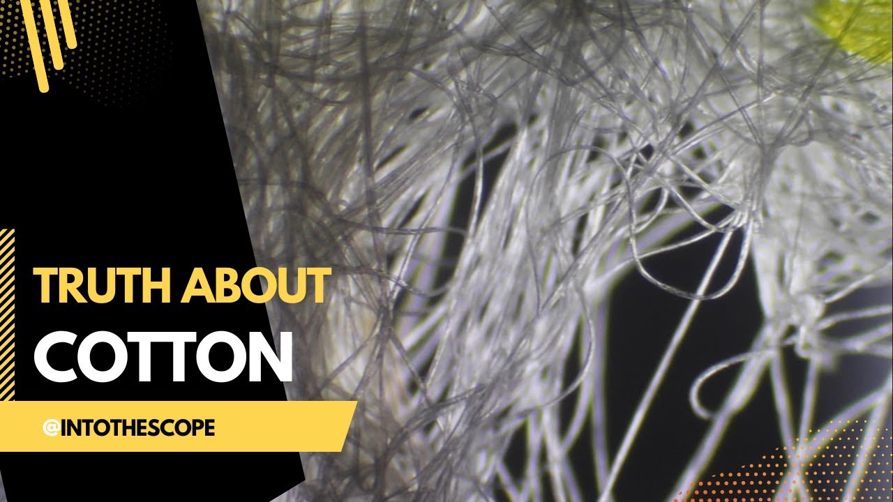 Cotton vs MicroFiber